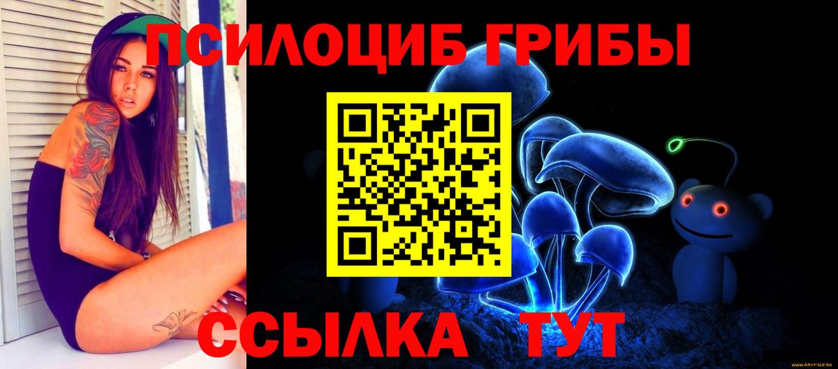 что такое наркотик  Вход с VPN  Лесосибирск  Галлюциногенные грибы мицелий  Галлюциногенные грибы Cubensis 